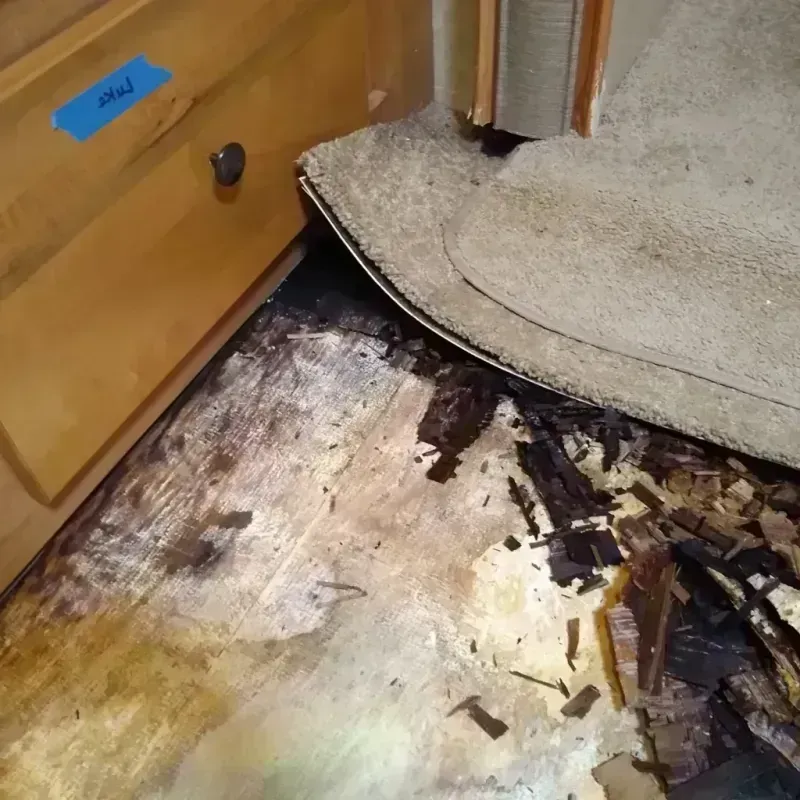 Wood Floor Water Damage in Pulaski County, AR